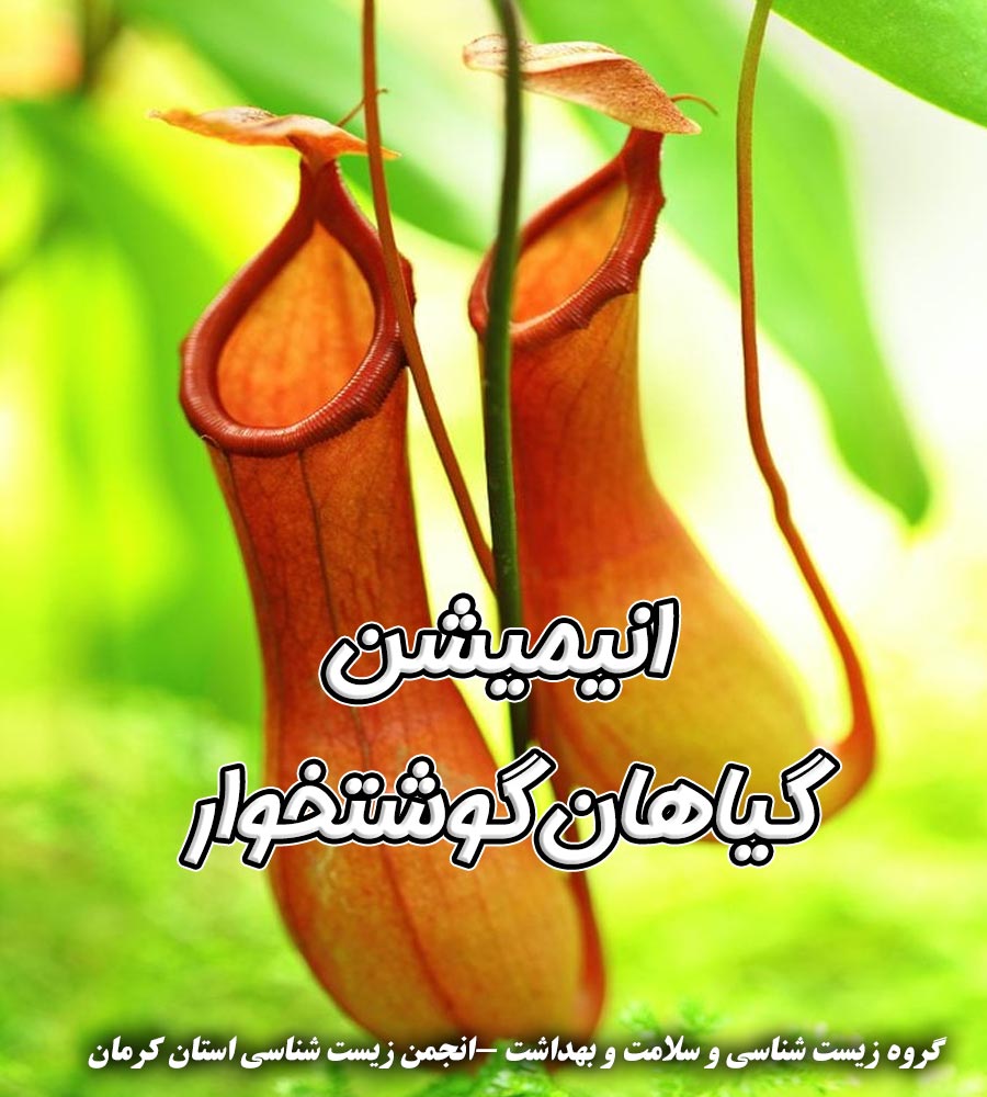 گیاهان گوشتخوار